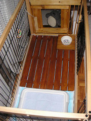 Resize of PICT0852_thumb.jpg